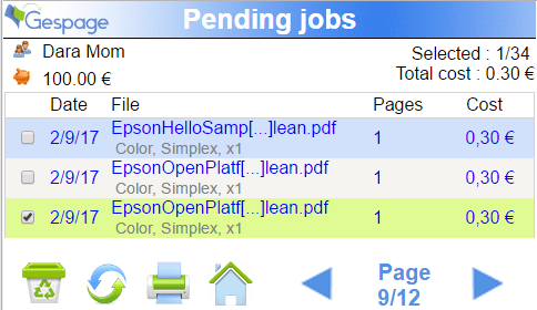 Embedded terminal Epson 2 • Gespage
